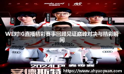mk体育官网入口