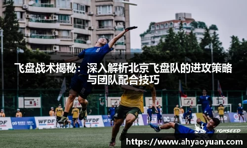 mk体育