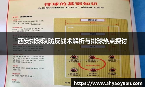 mk体育官网入口