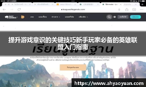 mk体育官网