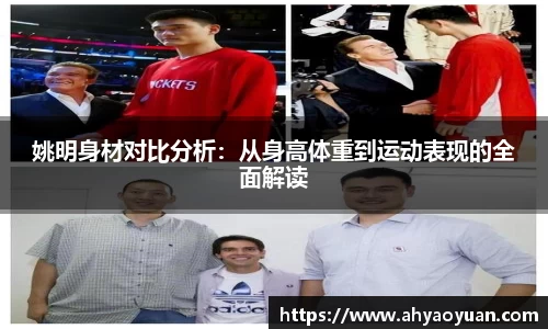 mk体育官网入口