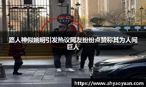 mk体育