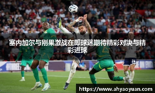 雷竞技官网