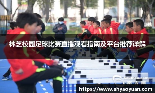 雷竞技官网